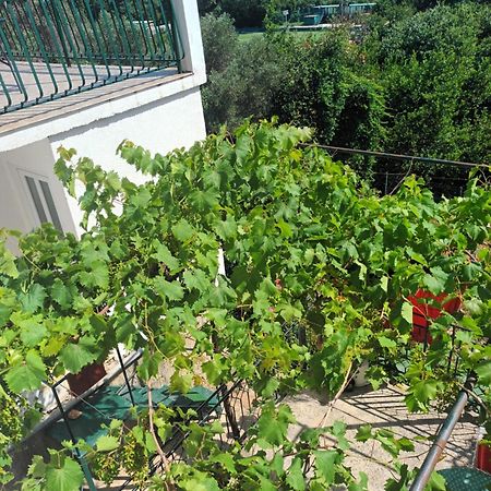 Apartment Jo دوبروفينك المظهر الخارجي الصورة